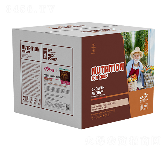 ľ�|(zh��)�ᡤ�ٱ���-ʩ�ֿ�