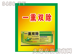 ��̩��-һѬ�p��