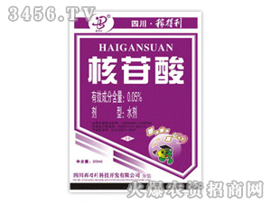 �ڵ���-������