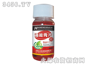 ������-������ţ��t��