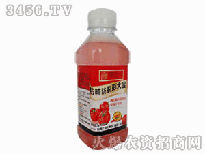 ����ʘI-���ѷ����������