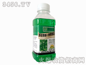 ����ʘI-픻���������պ��ˎ