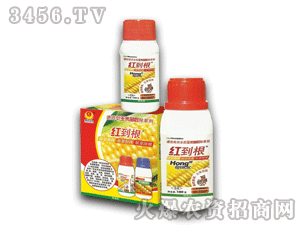 ̩�-�t����