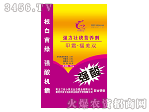 С����-���������I�B��