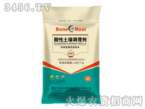 С����-���������{�턩