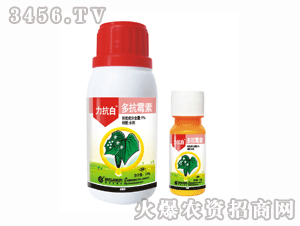 ��ِ��-������