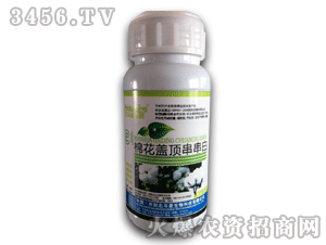 ������-�޻��w픴�����