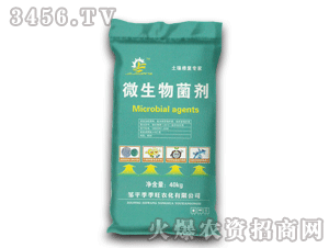 ������-�����ޏ͌���-�������