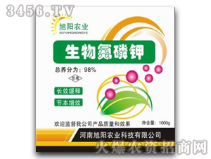 ���ﵪ���