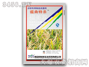 �����ؚ�-�����p