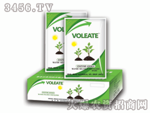 �����أ�����