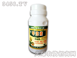 ����ʘI-�ך��؝�sҺ