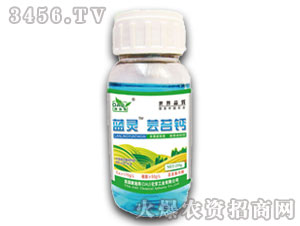 ֲ�����L�{��-�{�`�|̦�}