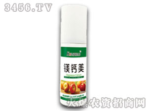 �O���䌣���{����-�V�}��