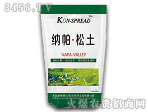 �����{�턩-�{������