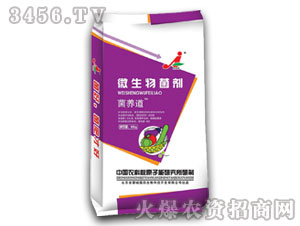 ���B��΢�������