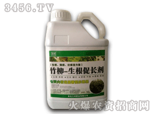 ��ʘI-����-�������L��