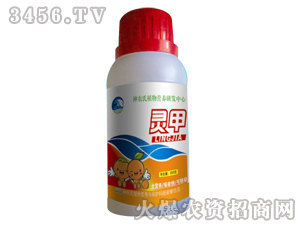 ֲ��I�B-�`��