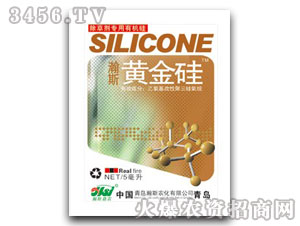 �S���ֲ�����L�{����