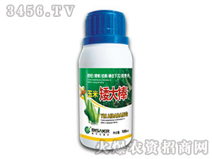 �����{����-�����