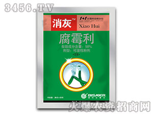 50%��ù��-����