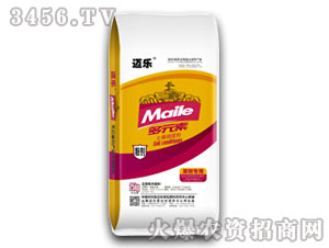 ��Ԫ�������{�턩-�~�������䌣�ã�