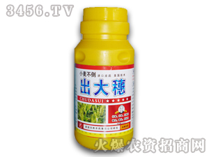 С�������{����-������-�����r��