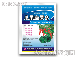 �Ϲ�����{����-�Ϲ�������-�����r��