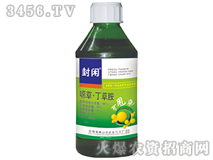 66%�f�ݶ��ݰ�-���e-�{���r�I