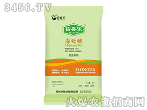 �������w����-��ϲ��