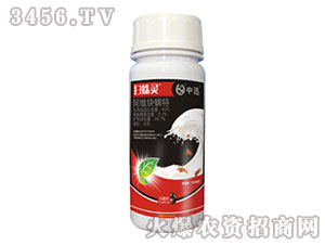 40%阿維炔螨特殺蟲(chóng)劑-掃蛛靈-中迅
