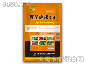 ���砀��360���{������-�������