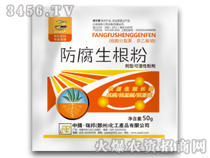 ���������ۣ��{������-�������