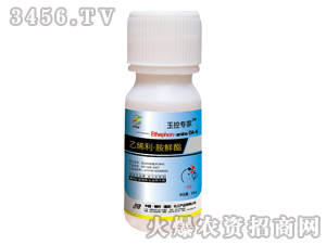 ���׌����{����-��ϩ�����r��-�������