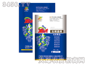 ���������P�����{������-�������