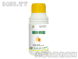 չ�~���ᣨ�{������-������ƿ��