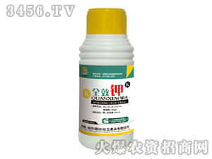 ȫЧ⛣��{������-�������