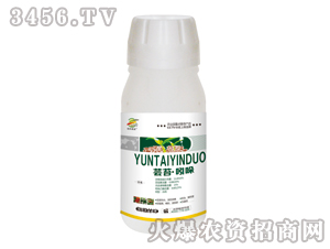 �|̦���ᣨ�{������-�������