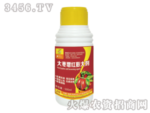 �����t���-�������