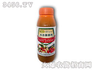 ��Ͼ�����-����ʘI