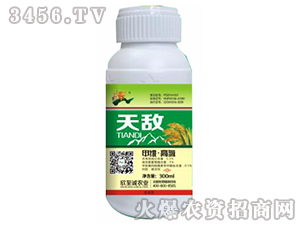 �׾S������-�씳-�����\