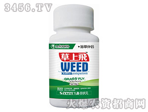 ����-�����w-���Ԫ