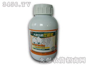 �޻���(zhu��n)���{(di��o)��(ji��)��-�������������-�W��˹