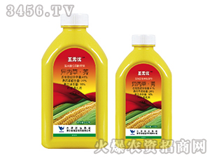 41%�����ݡ�ݬ-��o�n-���{�rˎ