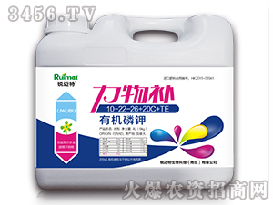 �ЙC���10-22-26+20C+TE-�����a-�J�~��