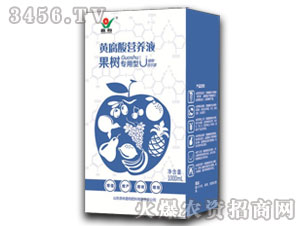 ����(sh��)��(zhu��n)���S����I(y��ng)�B(y��ng)Һ-����