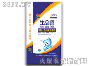 ����Դ���Ϸ�10-10-10-����