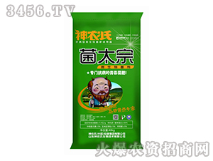 ΢�������-��̫��-���r��