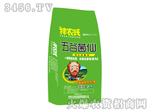 ΢�������-��Ⱦ���-���r��