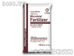 �ͺ�΢�������-���r��Դ